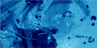 widget image